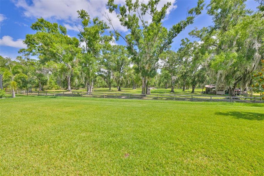 Natural landscape and outdoor views near  in Parrish (Image 56).
