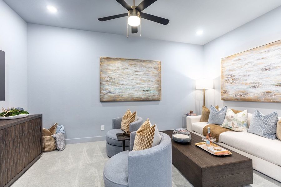 Entertainment Room