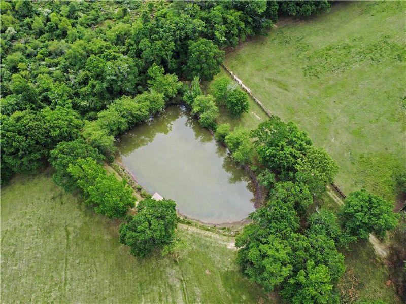 Natural landscape and outdoor views near  in Hoschton (Image 43).