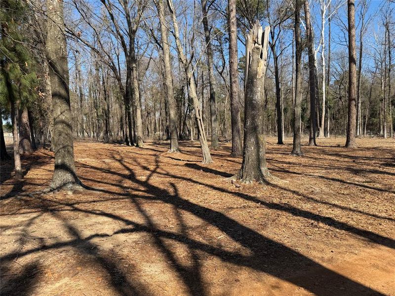 Natural landscape and outdoor views near  in Naples (Image 33).
