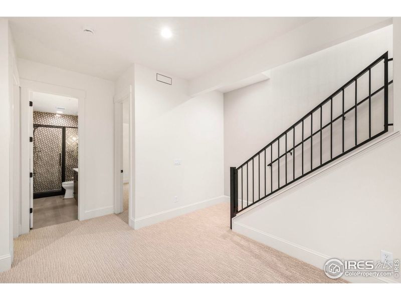 Custom Iron Staircase Railing leads to a beautiful bright basement with 10' Ceilings.