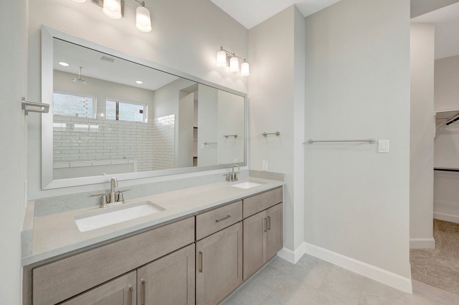 Owner's Bath