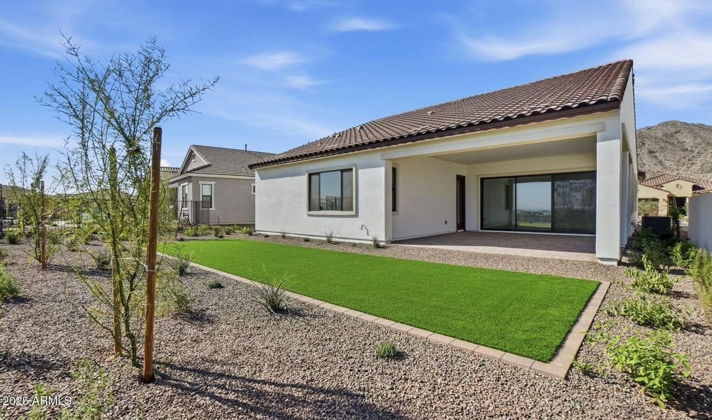 FSVV Lot #11 Backyard (4) (Large) FSVV Lot #11 Backyard (4) (Large)