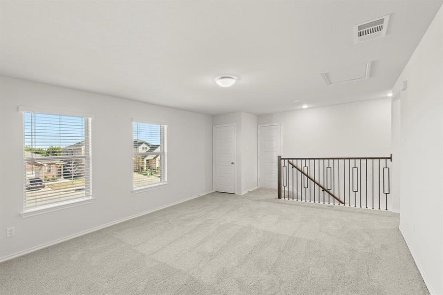 20. 3312 Sedge Grass - Game