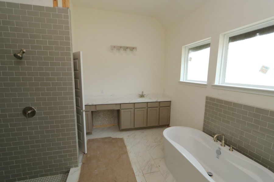 Primary bath - still under construction!