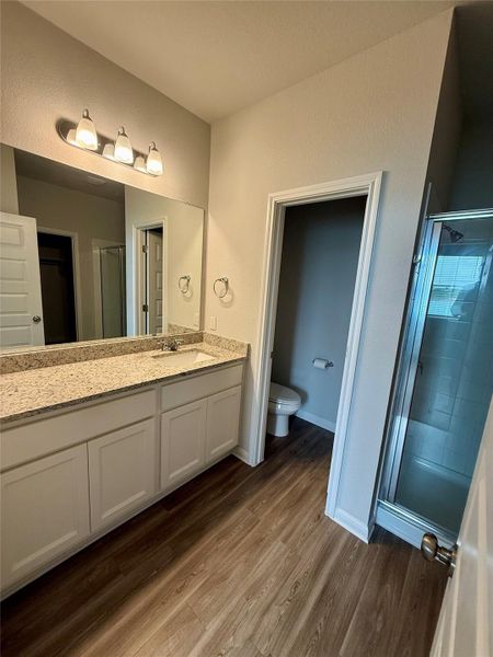Bathroom featuring a vanity with granite-style countertop, integrated sink, and wood-finish flooring