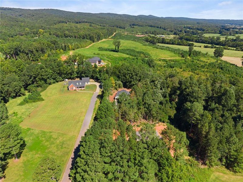 Natural landscape and outdoor views near  in Summerville (Image 42).