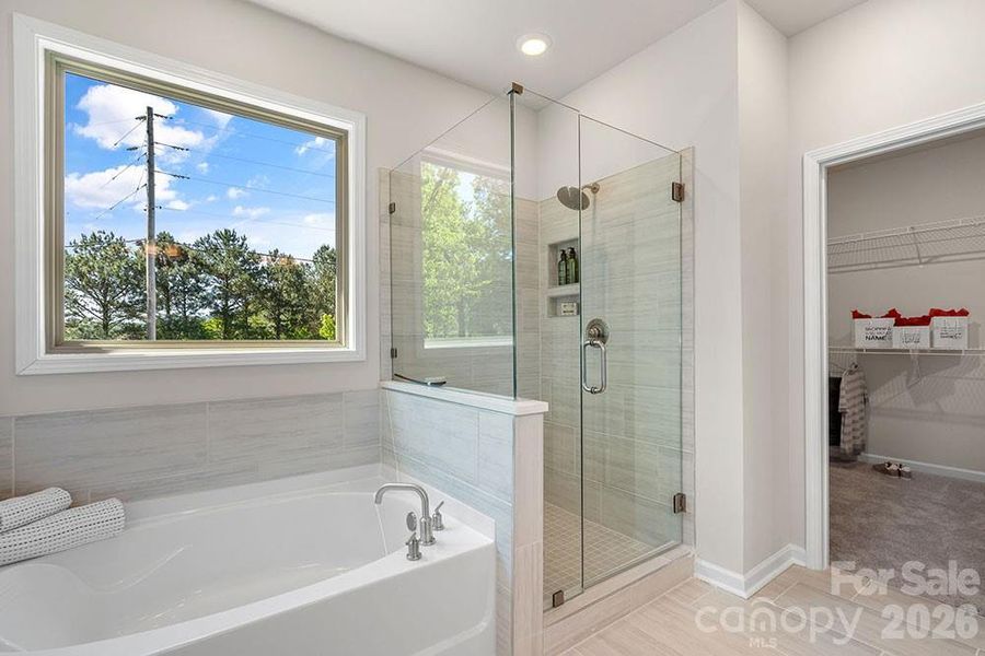 REPRESENTATIVE PHOTO