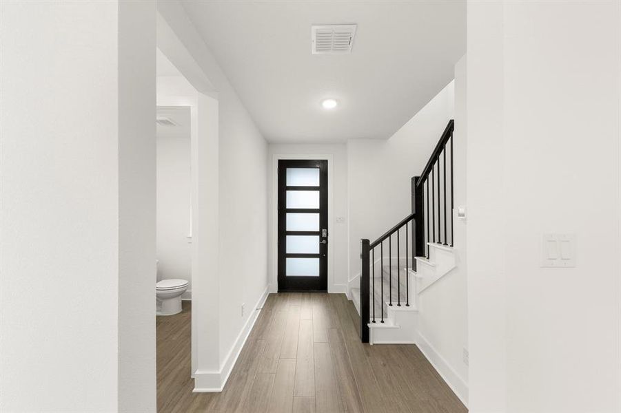 03. 1141 Amaryllis - Entry