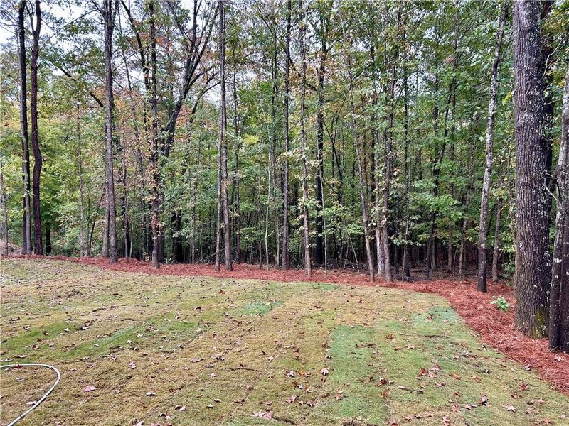 Natural landscape and outdoor views near  in Rome (Image 25).