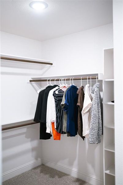 Spacious closet featuring carpet flooring Spacious closet featuring carpet flooring