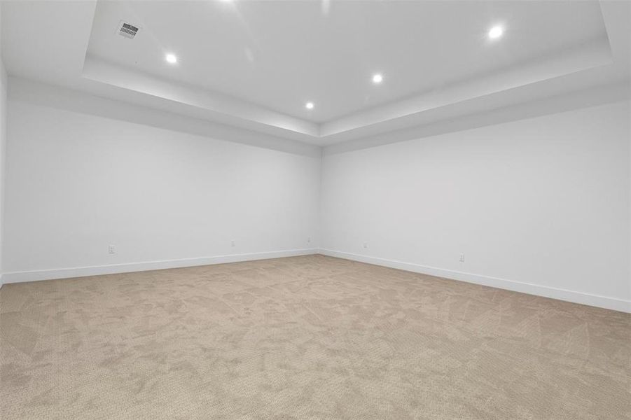 Media or Multi-purpose room