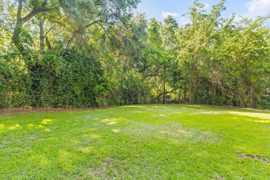 Natural landscape and outdoor views near in Charleston (Image 60). Natural landscape and outdoor views near in Charleston (Image 60).