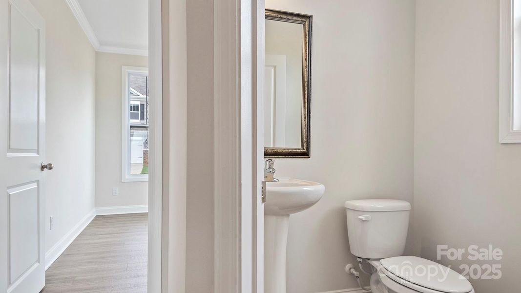 Photos are representative