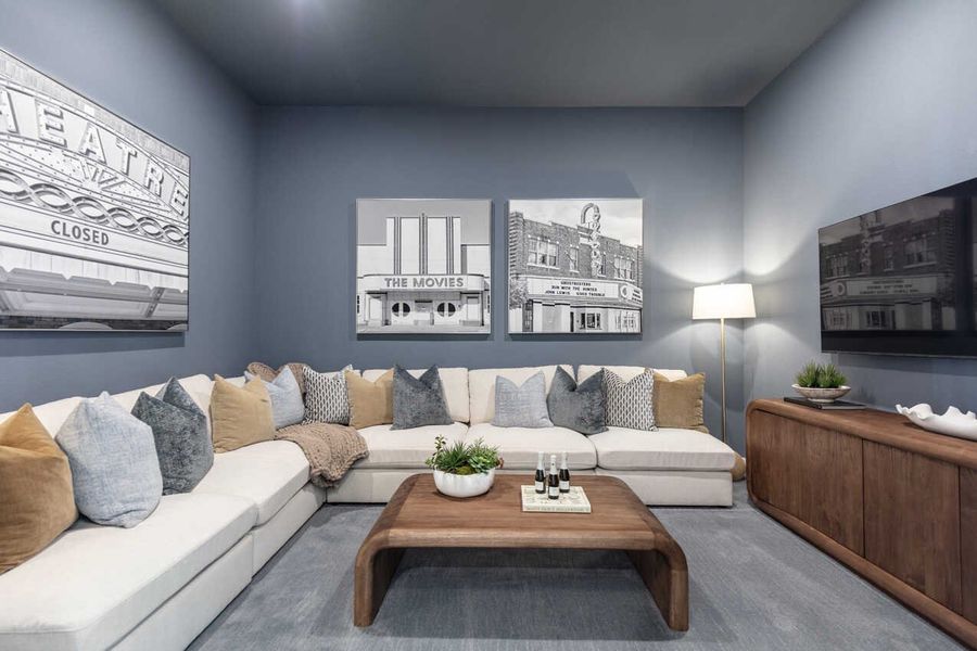 Representative Entertainment Room - some options shown Representative Entertainment Room - some options shown