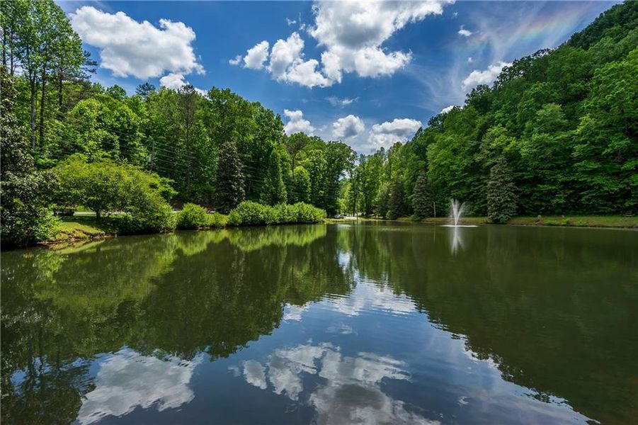 Natural landscape and outdoor views near  in Ellijay (Image 48).