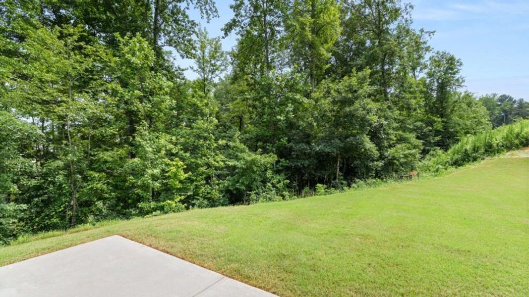 Natural landscape and outdoor views near Oakleigh Glen in Dallas (Image 29). Natural landscape and outdoor views near Oakleigh Glen in Dallas (Image 29).