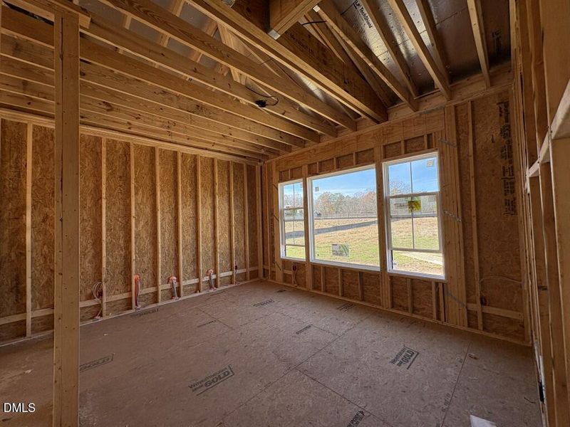 Photo Dec 01 2025, 11 38 24 AM (Medium)