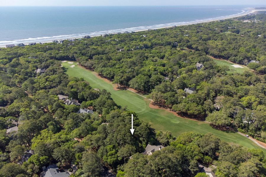 Natural landscape and outdoor views near  in Kiawah Island (Image 4).