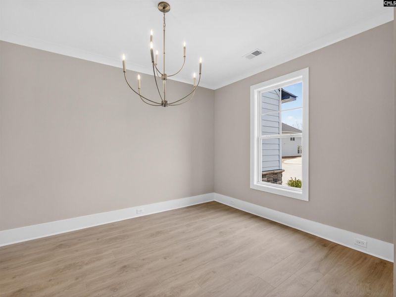 Spacious, unfurnished interior of a new home in Collins Cove, Chapin (Image 16).