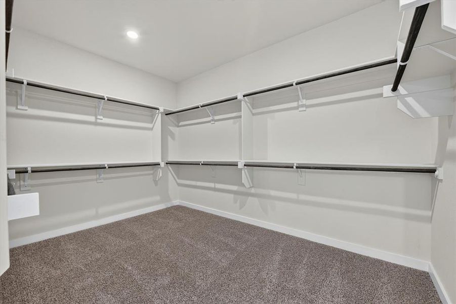 Walk-in closet featuring light gray carpet flooring, white walls, built-in shelving, and multiple clothing rods Walk-in closet featuring light gray carpet flooring, white walls, built-in shelving, and multiple clothing rods