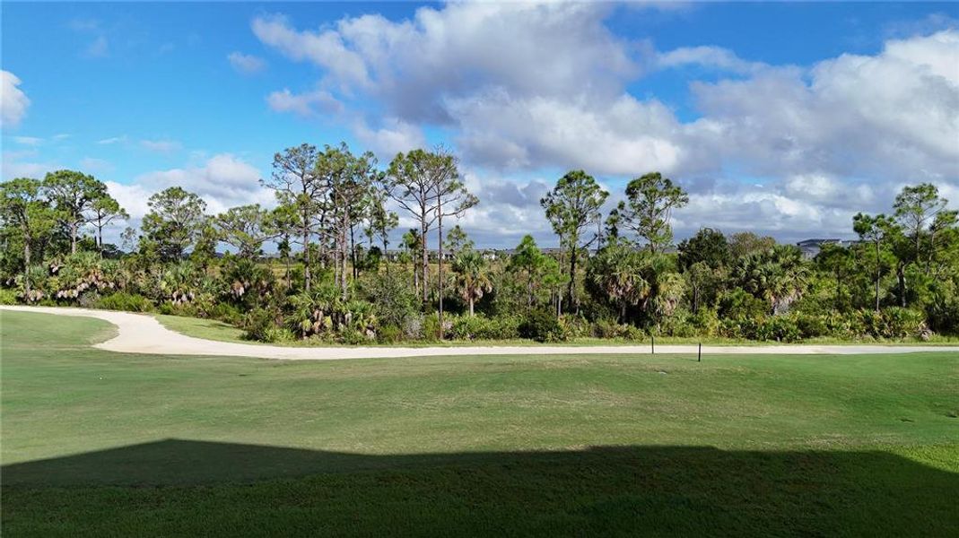 Natural landscape and outdoor views near  in Venice (Image 36).