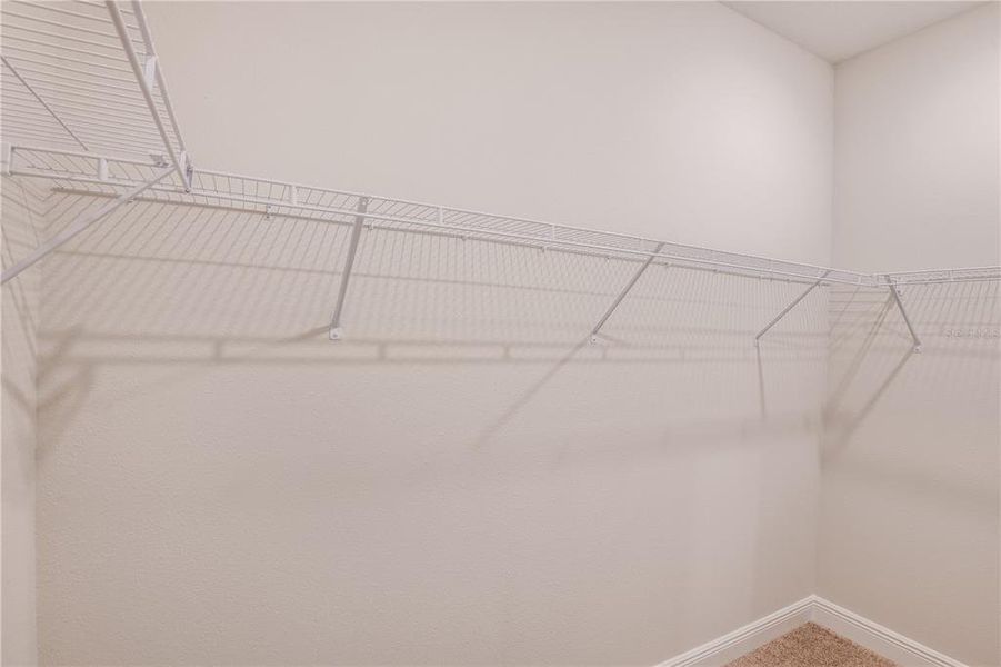 Spacious, unfurnished interior of a new home in Hawkstone, Riverview (Image 14).