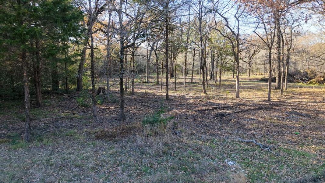 Plenty of room for trails, gardens, or future outdoor features.