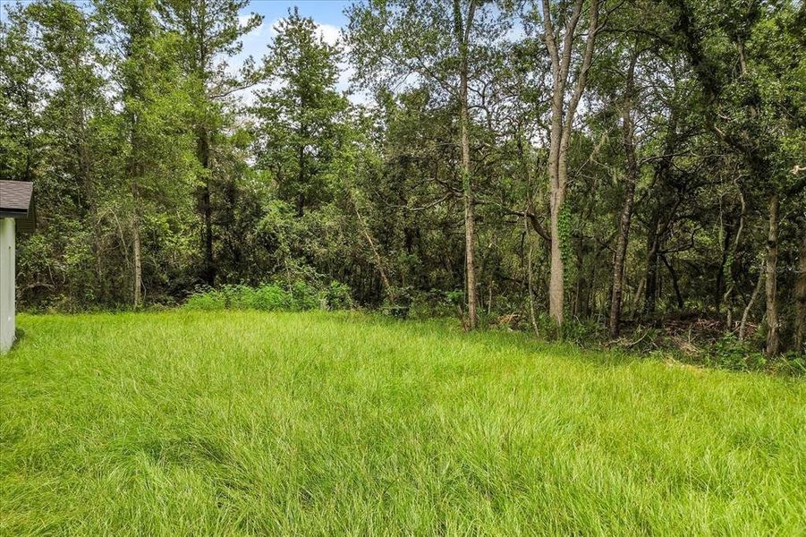 Front exterior of a new home in , Ocala, FL, highlighting curb appeal (Image 2). Front exterior of a new home in , Ocala, FL, highlighting curb appeal (Image 2).