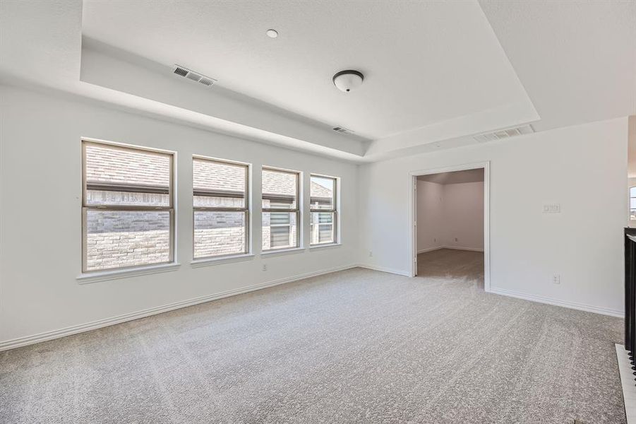 Unfurnished room with light colored carpet and a raised ceiling