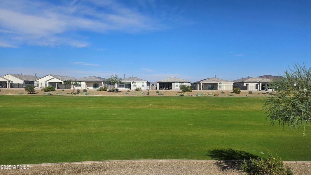 Mason Ranch II Lot 226 Backyard pic 2