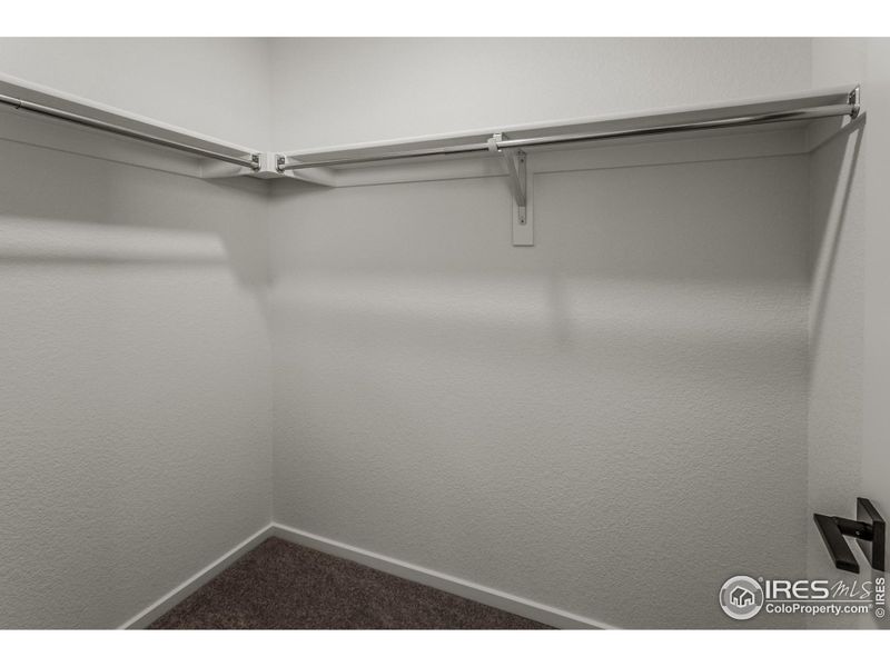 Spacious, unfurnished interior of a new home in Bloom Trailblazer Collection - Single Family Homes, Fort Collins (Image 18).