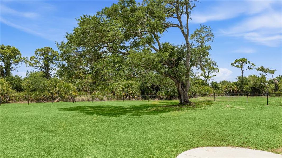 Natural landscape and outdoor views near  in Nokomis (Image 33).