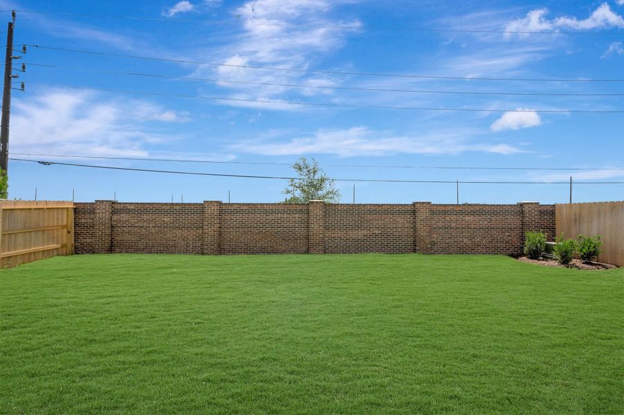 Backyard