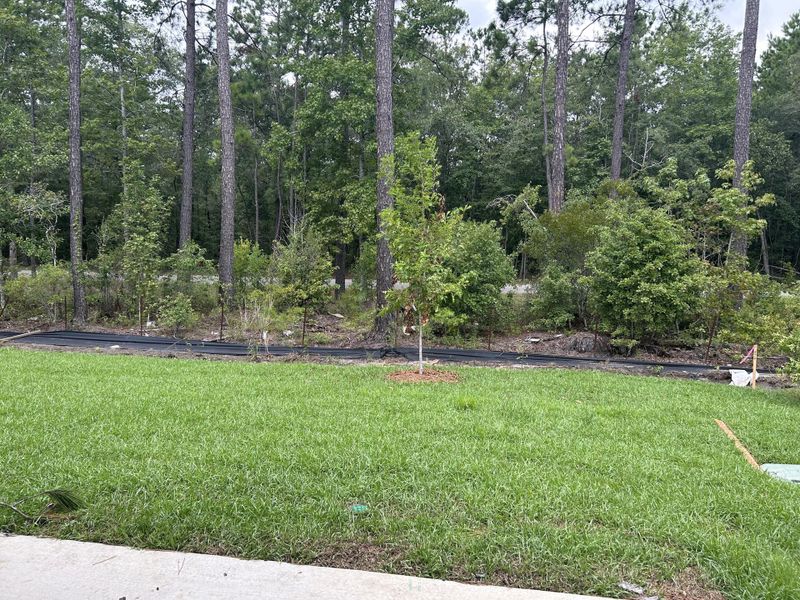 Image 39 of a home in Hammock Walk at Nexton. Image 39 of a home in Hammock Walk at Nexton.