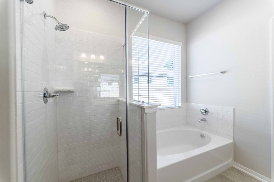 Furnished interior view inside a new home in Martha's Vineyard, Alvin (Image 7).