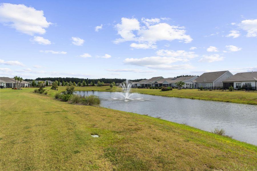 Natural landscape and outdoor views near  in Summerville (Image 43).