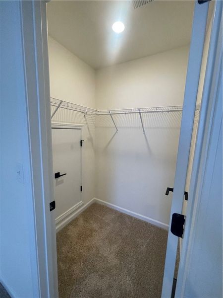 Spacious, unfurnished interior of a new home in Springwood Grove, Central (Image 22). Spacious, unfurnished interior of a new home in Springwood Grove, Central (Image 22).