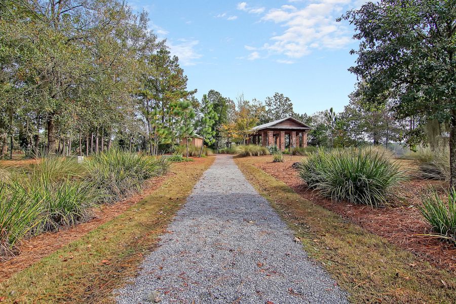 Natural landscape and outdoor views near Heron's Walk at Summers Corner in Summerville (Image 50).