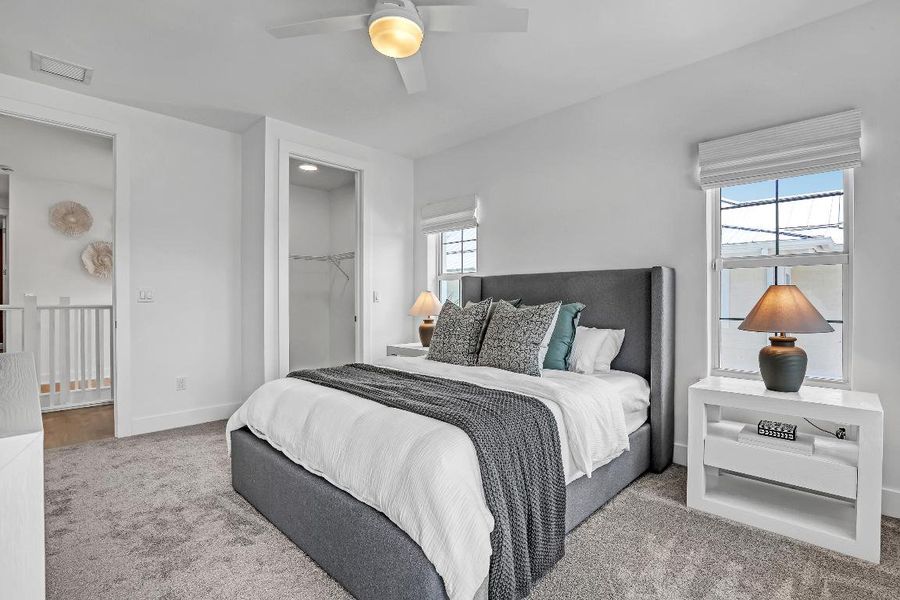 109 Royal Palm (8) 109 Royal Palm (8)