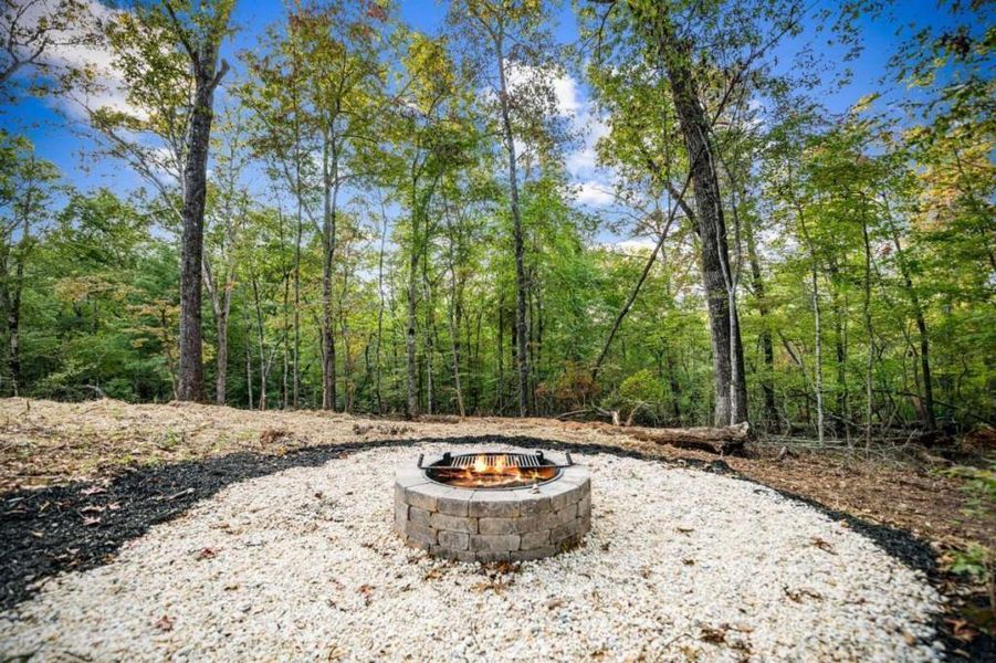 Natural landscape and outdoor views near  in McCaysville (Image 40).