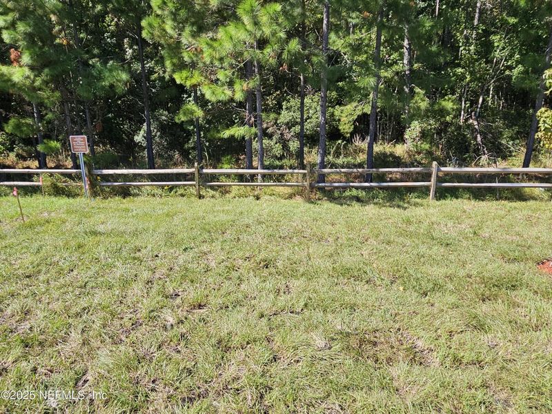 Natural landscape and outdoor views near The Arbors in Jacksonville (Image 36).
