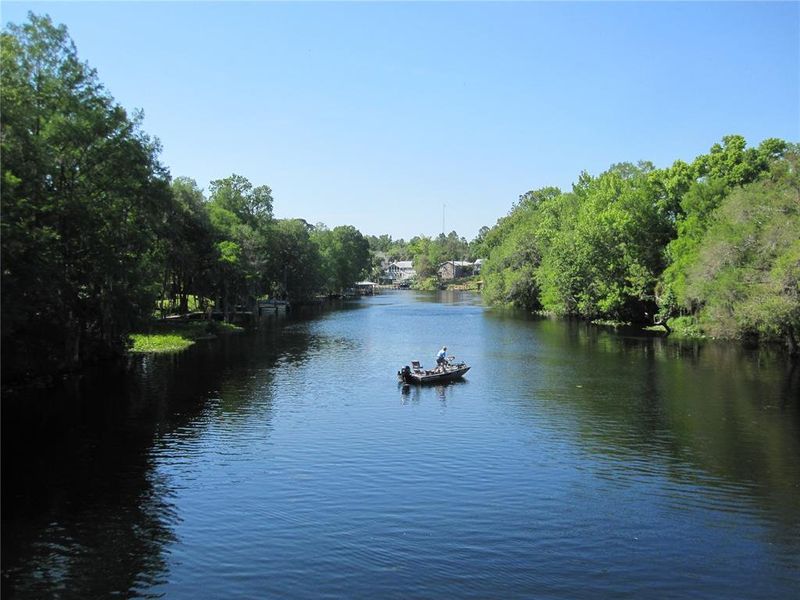 Natural landscape and outdoor views near in Citrus Springs (Image 29). Natural landscape and outdoor views near in Citrus Springs (Image 29).