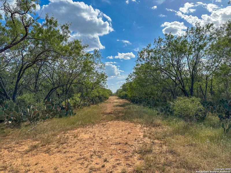Natural landscape and outdoor views near  in Jourdanton (Image 26).