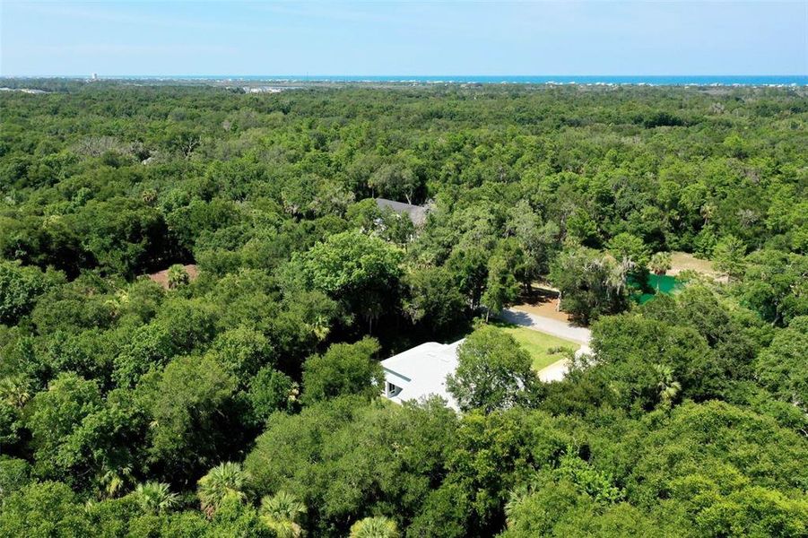 Natural landscape and outdoor views near in Flagler Beach (Image 75). Natural landscape and outdoor views near in Flagler Beach (Image 75).
