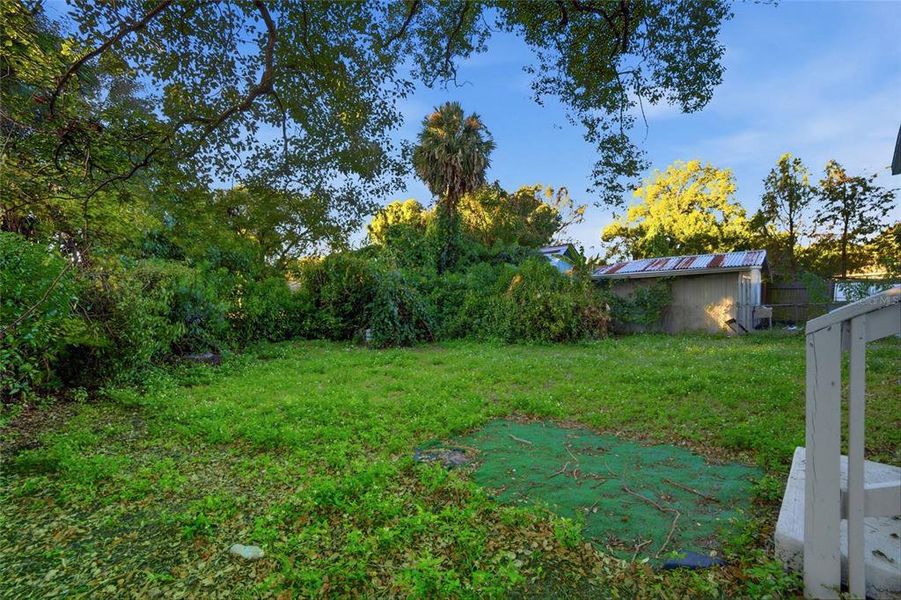 Natural landscape and outdoor views near  in Orlando (Image 26).