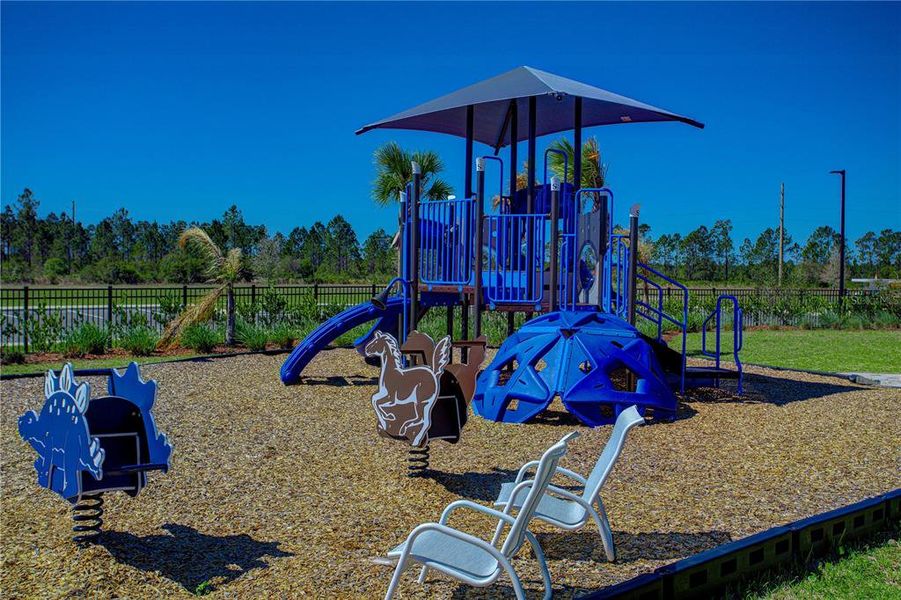 Community amenities in Sawmill Branch Express, Palm Coast (Image 49).