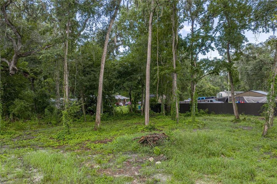 Natural landscape and outdoor views near  in Webster (Image 49).