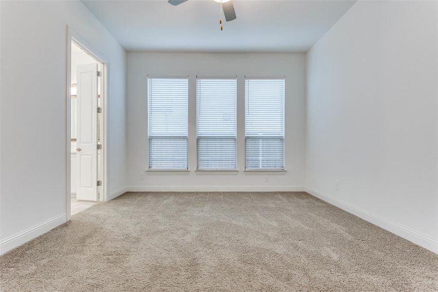 Primary bedroom featuring ceiling fan a wall of windows with custom blinds and light carpet