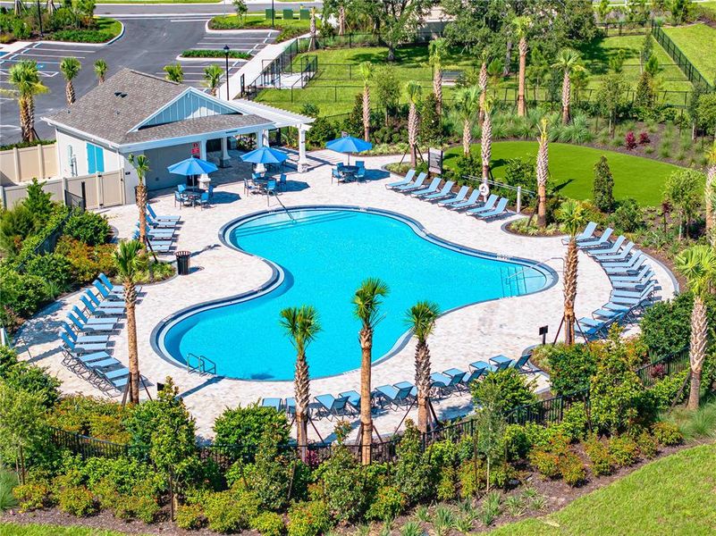 Community amenities in Palm Wind, Hudson (Image 25).